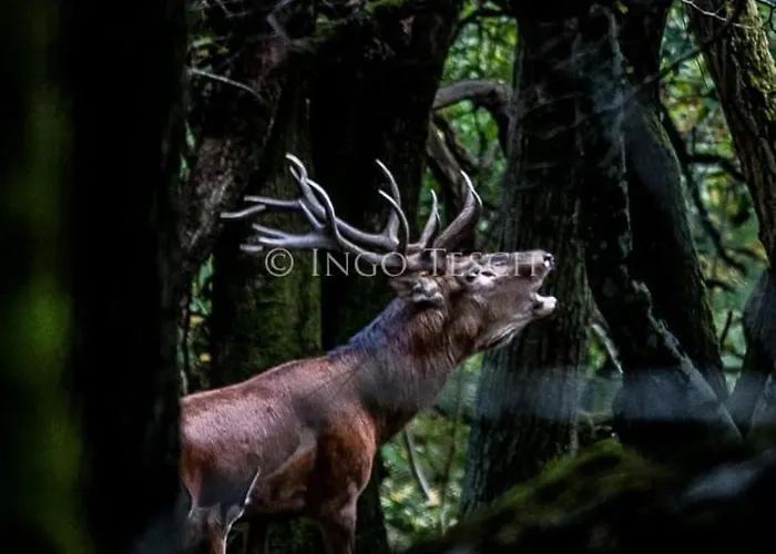 شقة Naturraum - Wellness Oase Am Mittelrheintal *